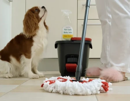 baby-safe-pet-friendly