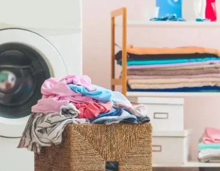 Laundry Add-On (Wash, Fold & Organize)